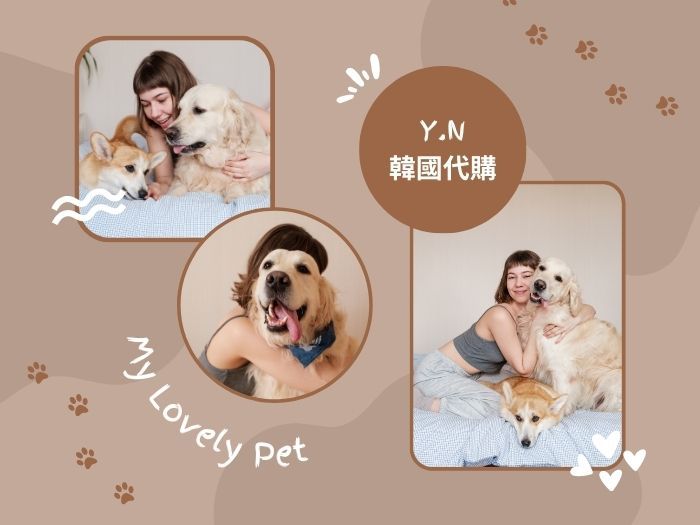 韓國寵物商品代購指南：帶著毛孩旅遊野餐必備的 5 種寵物用品